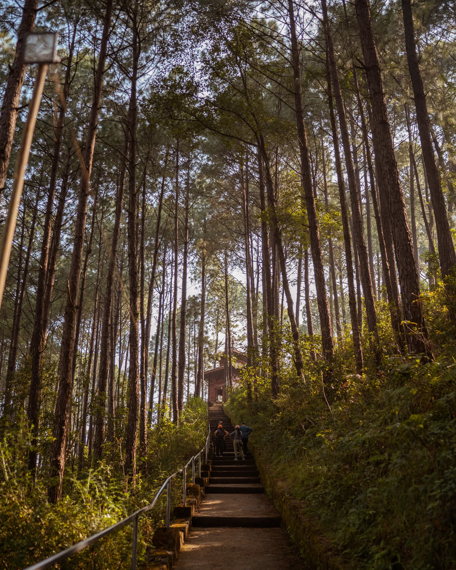 Personal photography by Ashish Shrestha